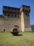 Tuscan Wine Cellar's Tour Experience