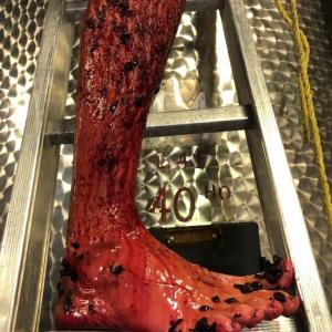 Provence Estate Visit & Wine Tasting Experience