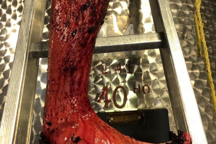 Provence Estate Visit & Wine Tasting Experience