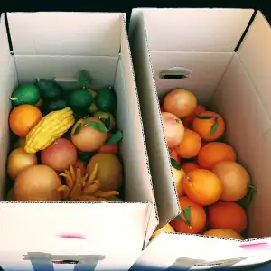 Murcia Citrus Tour Experience