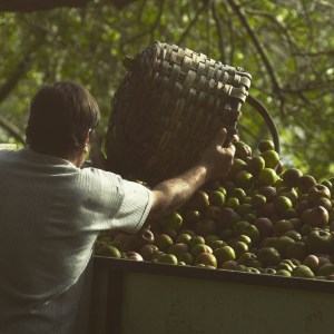 San Sebastian Cider Tasting & Lunch Experience