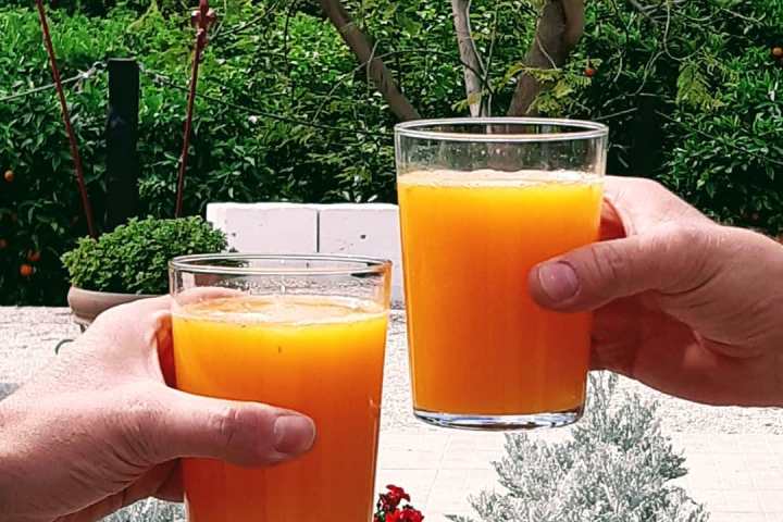 Murcia Citrus Tour Experience