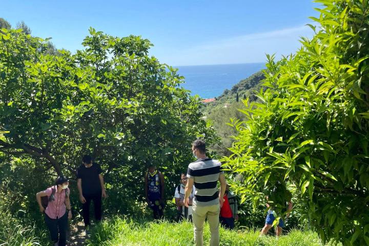 Provence Citrus Estate Guided Tour Experience