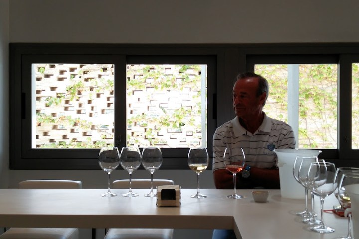 Jerez Wine Visit Experience