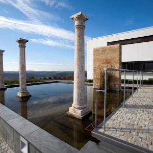 Jerez Wine Visit Experience