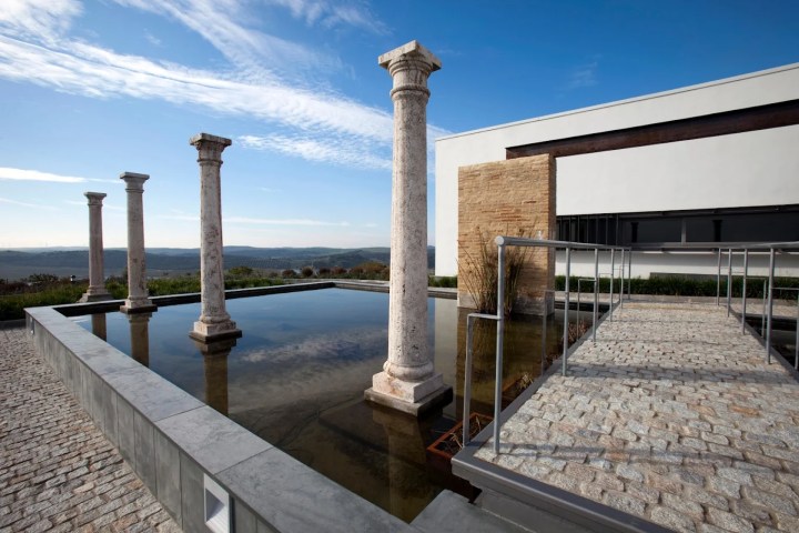 Jerez Wine Visit Experience