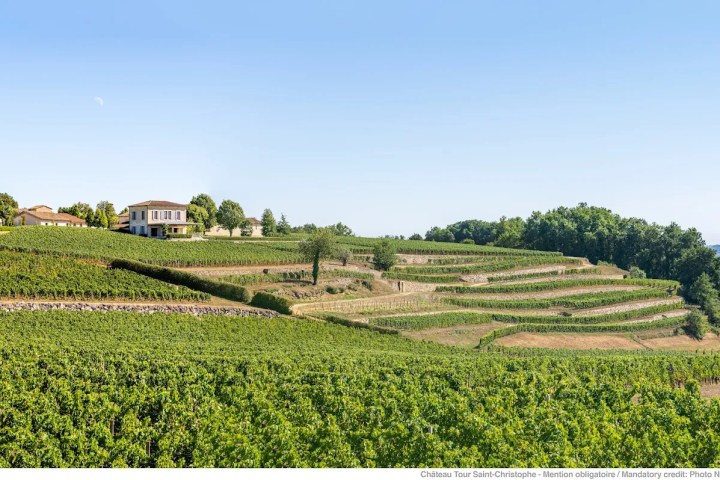 Bordeaux Visit & Tasting Experience