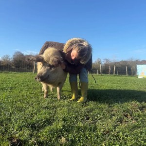 Brittany Guided Farm Tour Experience