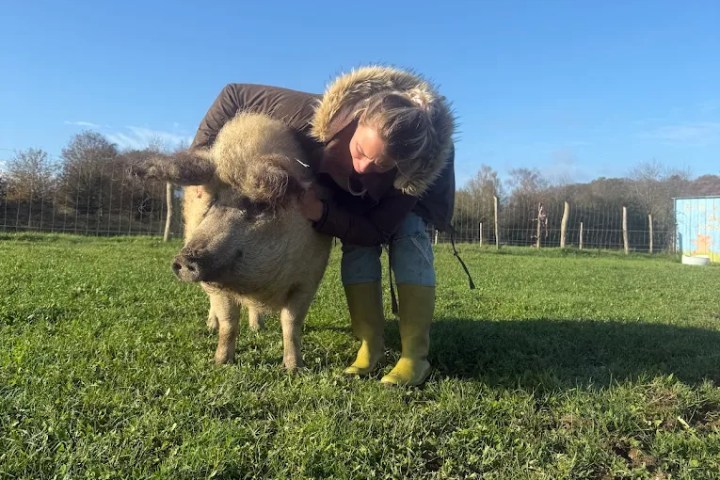 Brittany Guided Farm Tour Experience
