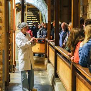 Jura Comté Cheese Maturing Cellar Tour Experience