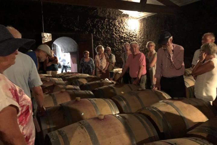 Bordeaux Wine Tasting & Platters Experience