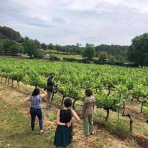Provence Estate Visit & Wine Tasting Experience