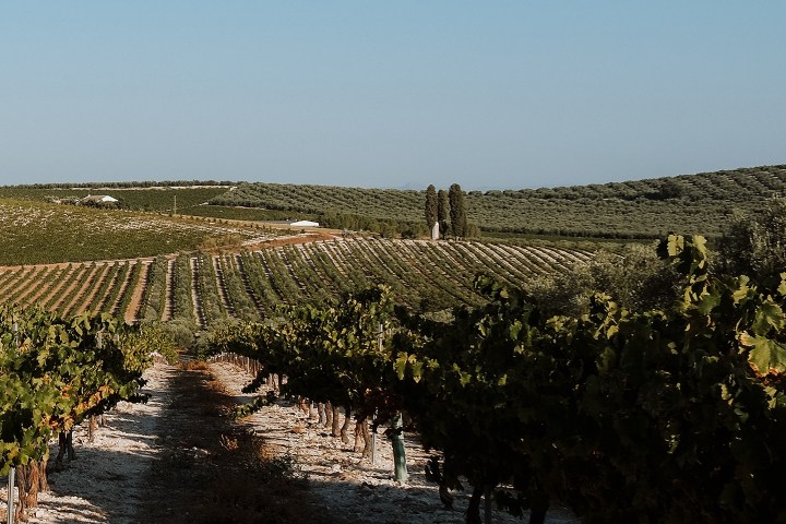 Córdoba Land & Wines Experience