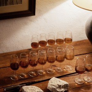 Córdoba Land & Wines Experience