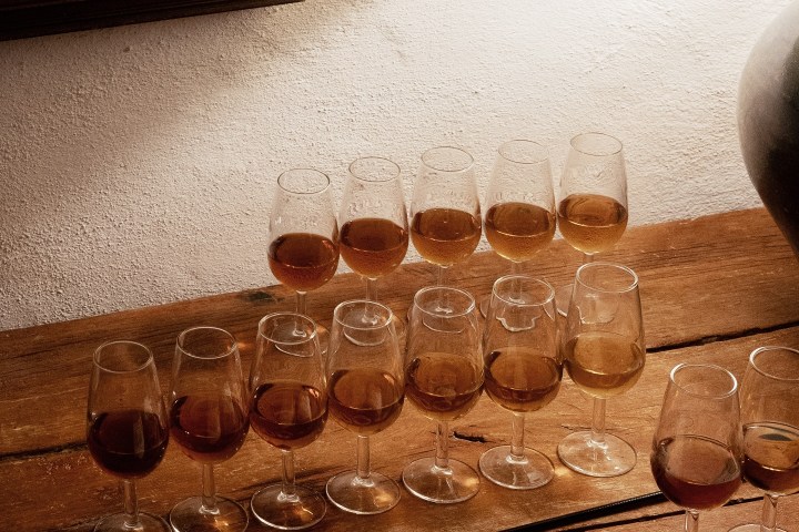 Córdoba Land & Wines Experience