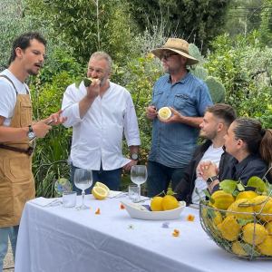 Provence Citrus Estate Guided Tour Experience
