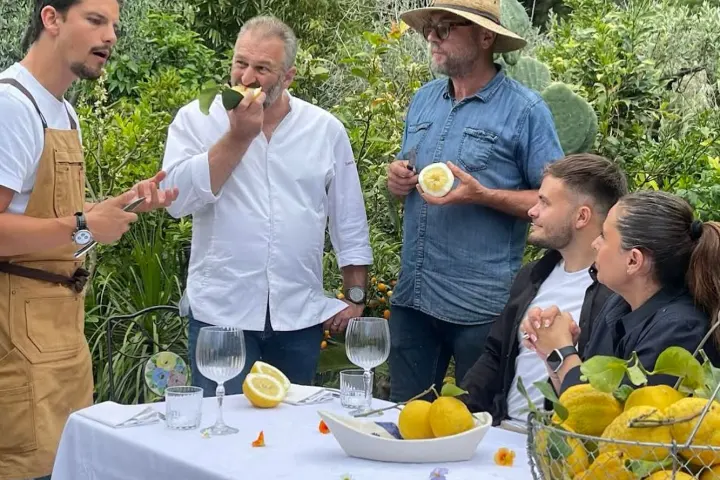 Provence Citrus Estate Guided Tour Experience