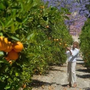 Murcia Citrus Tour Experience