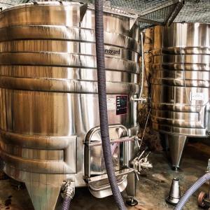 Bordeaux Domaine Tour & Wine Tasting Experience