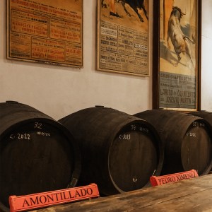 Córdoba Land & Wines Experience