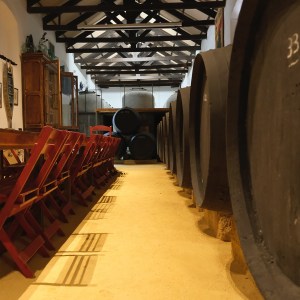 Córdoba Land & Wines Experience