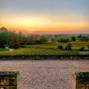 Bordeaux Domaine Tour & Wine Tasting Experience