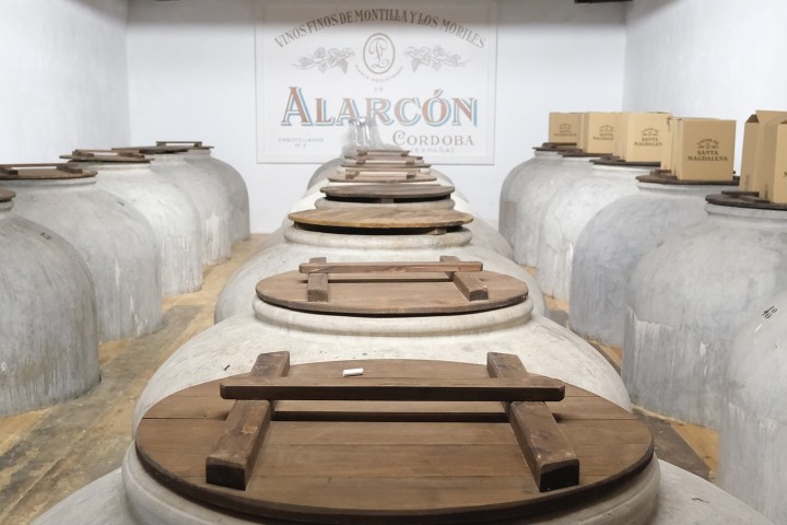 Córdoba Land & Wines Experience