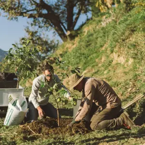 Provence Citrus Estate Guided Tour Experience