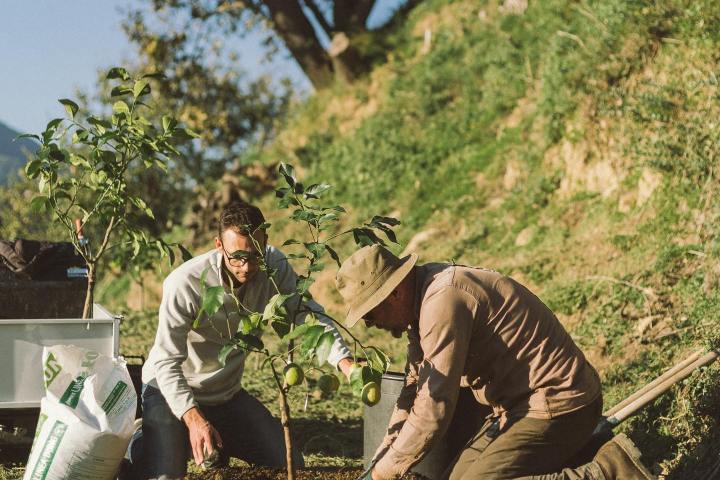 Provence Citrus Estate Guided Tour Experience