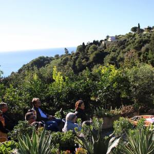 Provence Citrus Estate Guided Tour Experience