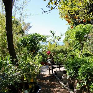 Provence Citrus Estate Guided Tour Experience