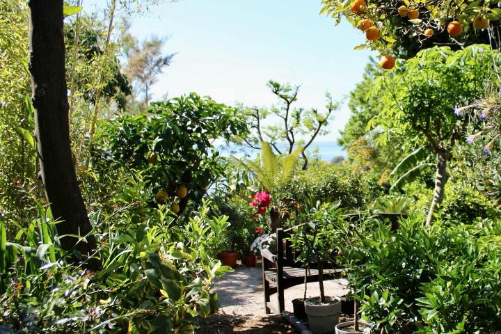 Provence Citrus Estate Guided Tour Experience