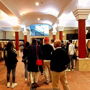 Ronda Wine Tour & Tasting Experience