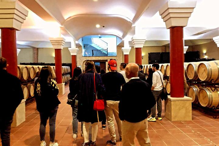 Ronda Wine Tour & Tasting Experience