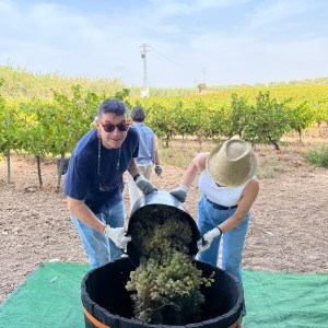 Córdoba Wine Tasting Experience