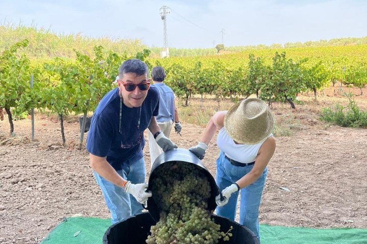 Córdoba Wine Tasting Experience