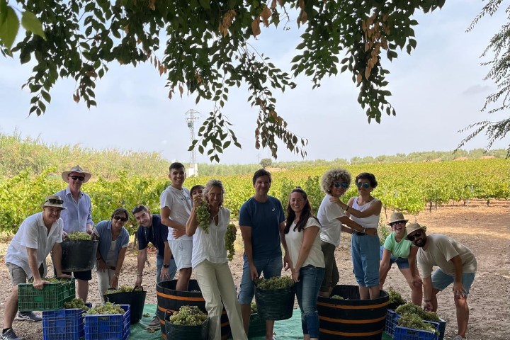 Córdoba Wine Tasting Experience