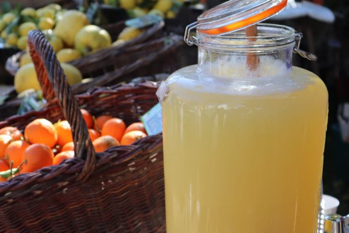 Provence Citrus Estate Guided Tour Experience