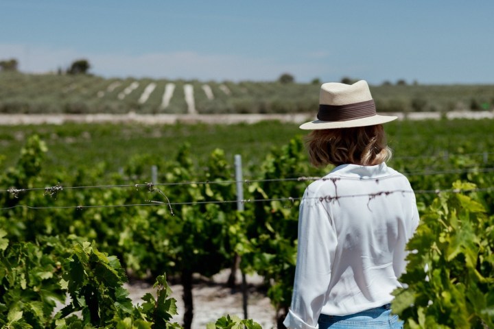 Córdoba Land & Wines Experience