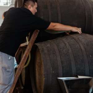 Córdoba Land & Wines Experience