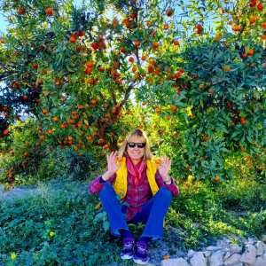 Murcia Citrus Tour Experience