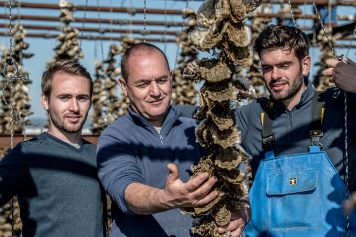 Montpellier Oysters Experience