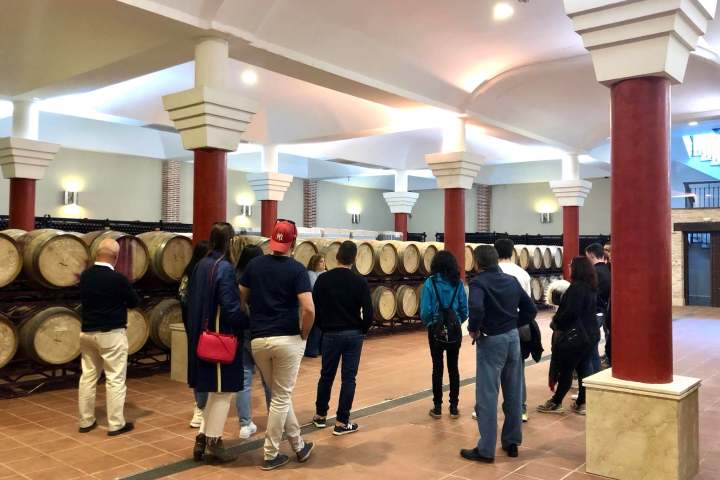 Ronda Wine Tour & Tasting Experience