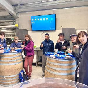 Montpellier Oysters Experience