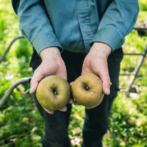 Blend Your Cider Experience
