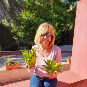 Murcia Citrus Tour Experience