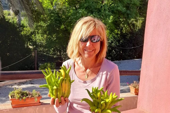 Murcia Citrus Tour Experience