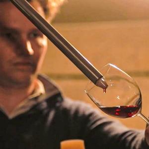 Bordeaux Domaine Tour & Wine Tasting Experience