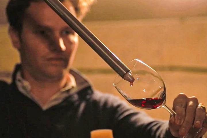 Bordeaux Domaine Tour & Wine Tasting Experience