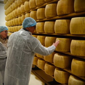 Parma Parmigiano Tour & Tasting Experience